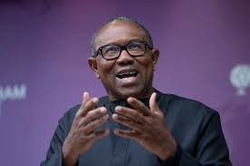 Peter Obi Intervenes in South Africa, Holds High-Level Talks with Top Ministers Over Xenophobic Tensions