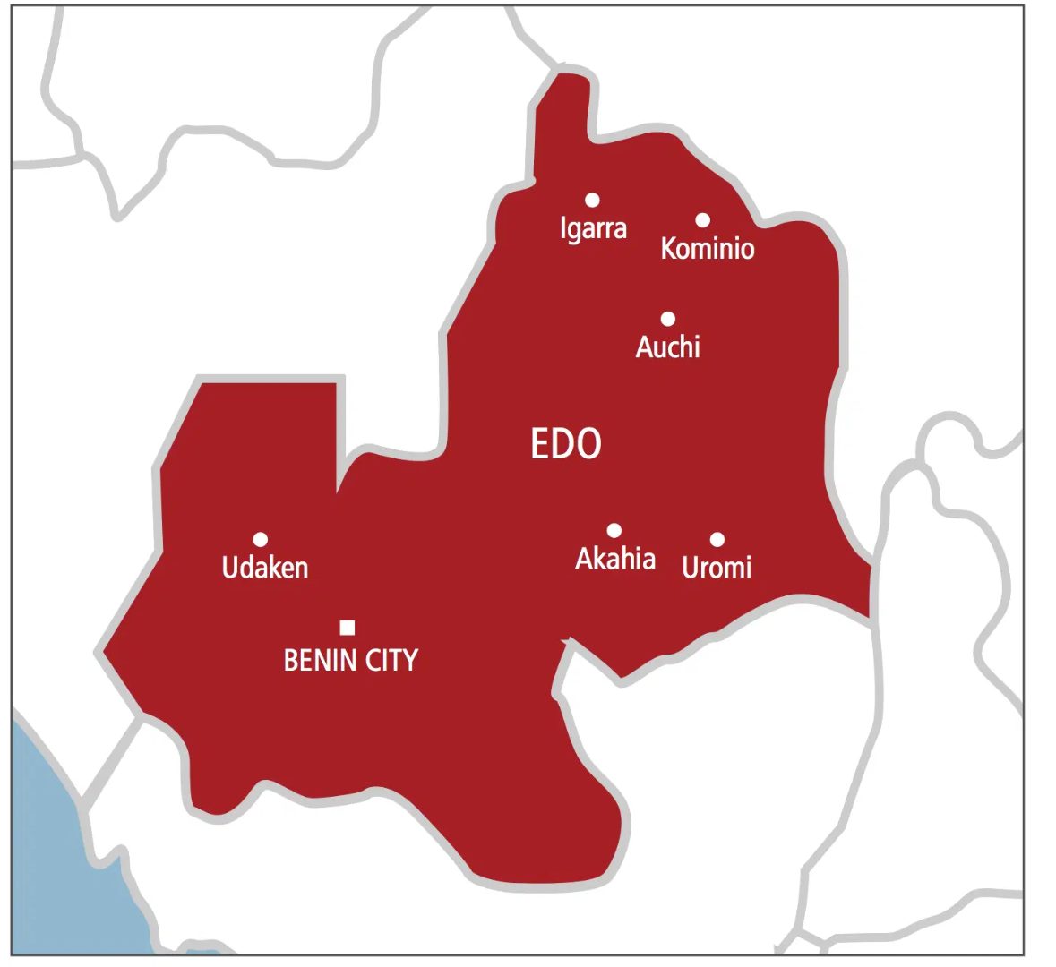 Chaos at Edo Children’s Day Event as Stampede Leaves Dozens Hospitalised