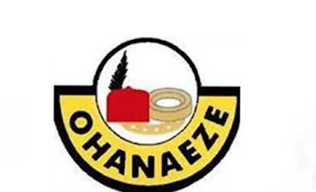 Ohanaeze Sets Up Special Committee Over Alleged Harassment, Detentions of Igbos