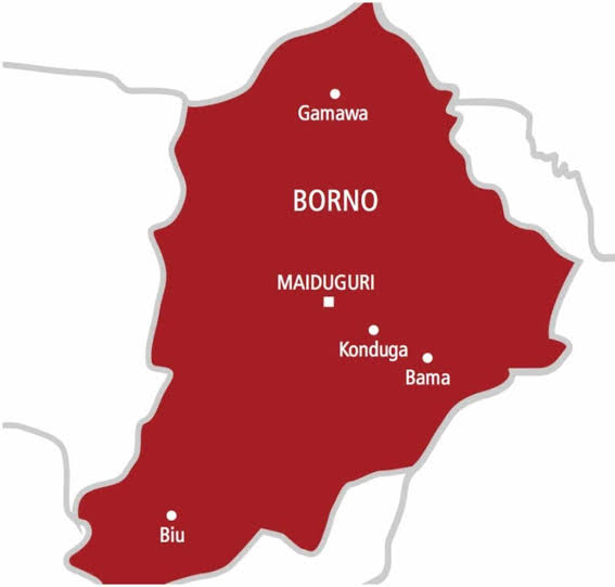 Cholera Claims 39 Lives in 24 Hours as Borno Records 272 New Cases