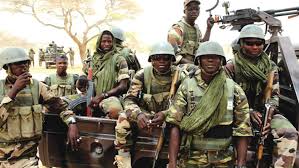 Troops Rescue Abducted Mother, Child as Military Sustains Offensive Against Terrorists in North-East