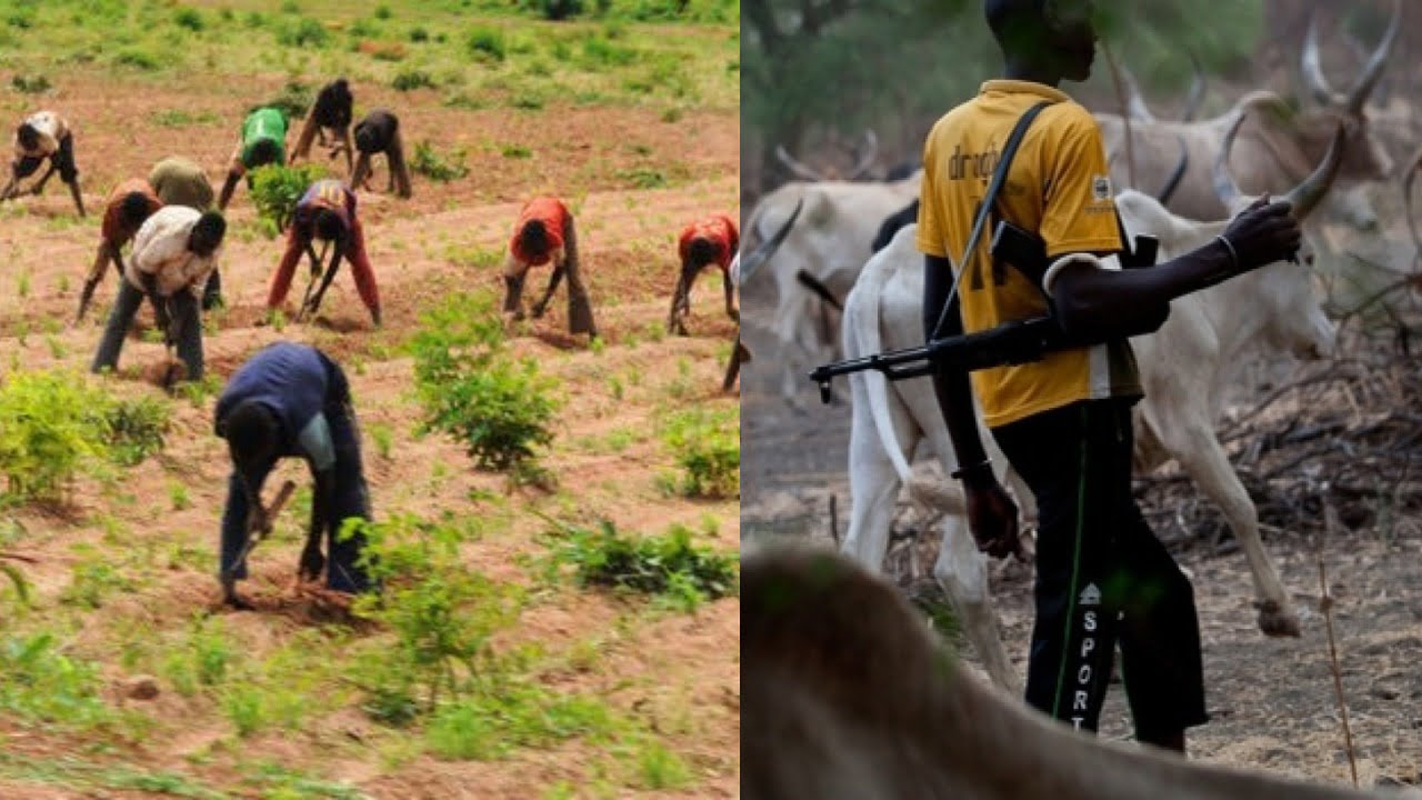 Seven Killed In Bauchi Farmers-Herders Clash