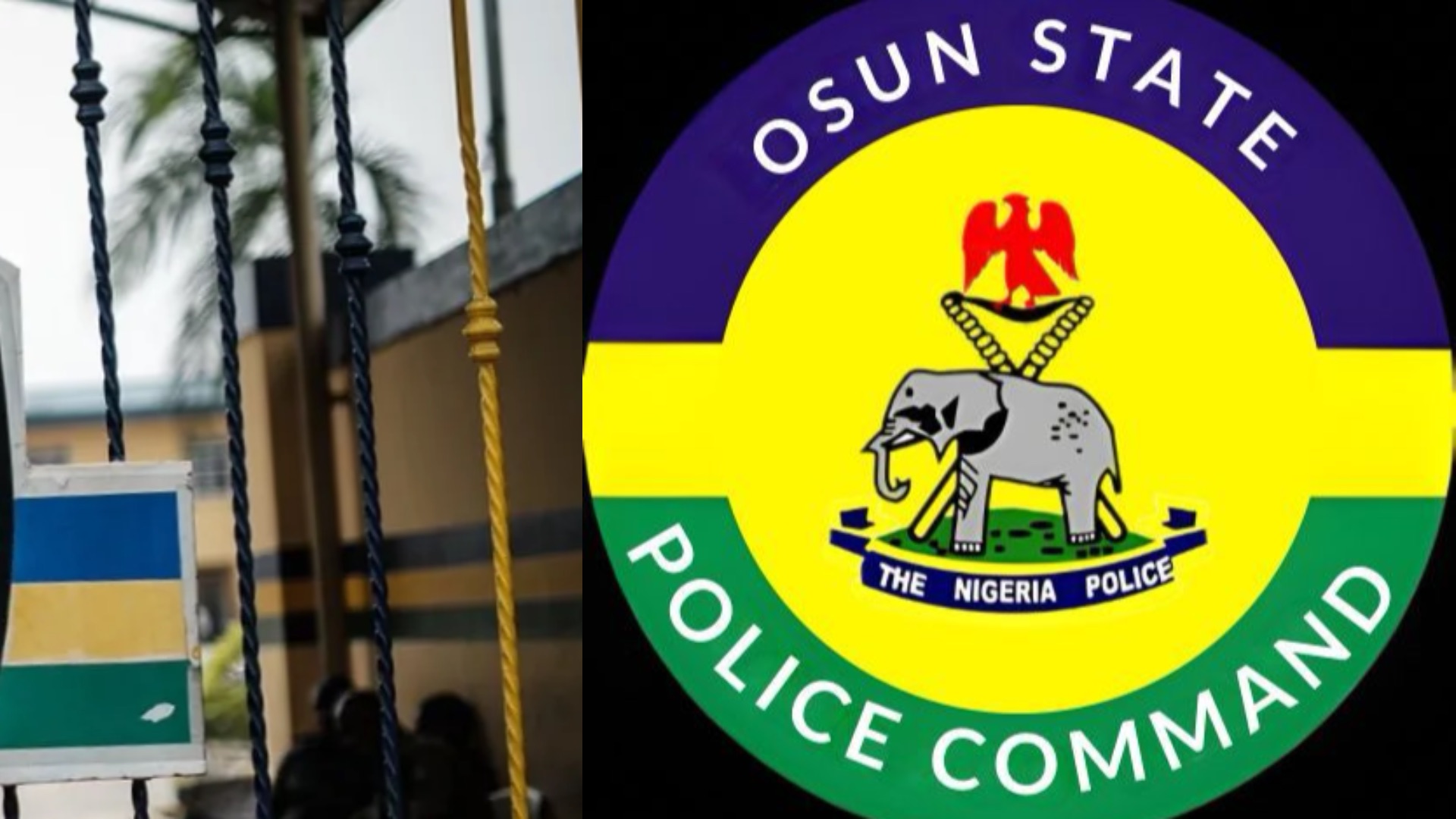 Osun Police Arrest Man Over False Social Media Claim of Bandits’ Invasion