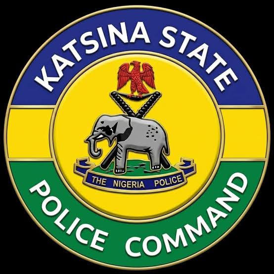 Police Arrest 225 Suspects, Rescue 17 Kidnap Victims in Katsina in One Month