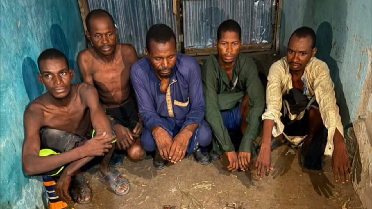 Troops Disrupt Kidnapping Syndicate, Recover Rifles and Ammunition in Borno