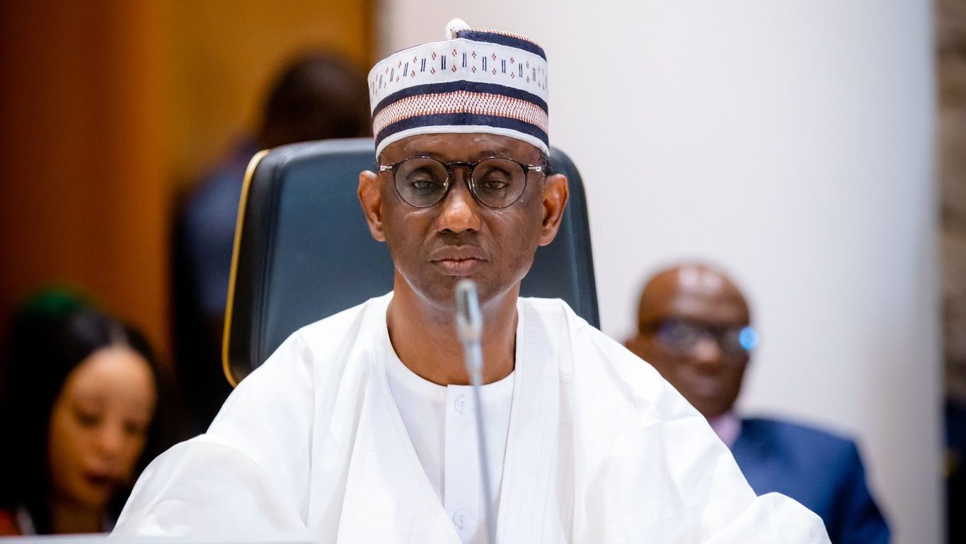Nigeria’s Borders Under Siege from Criminal Networks, Says Ribadu