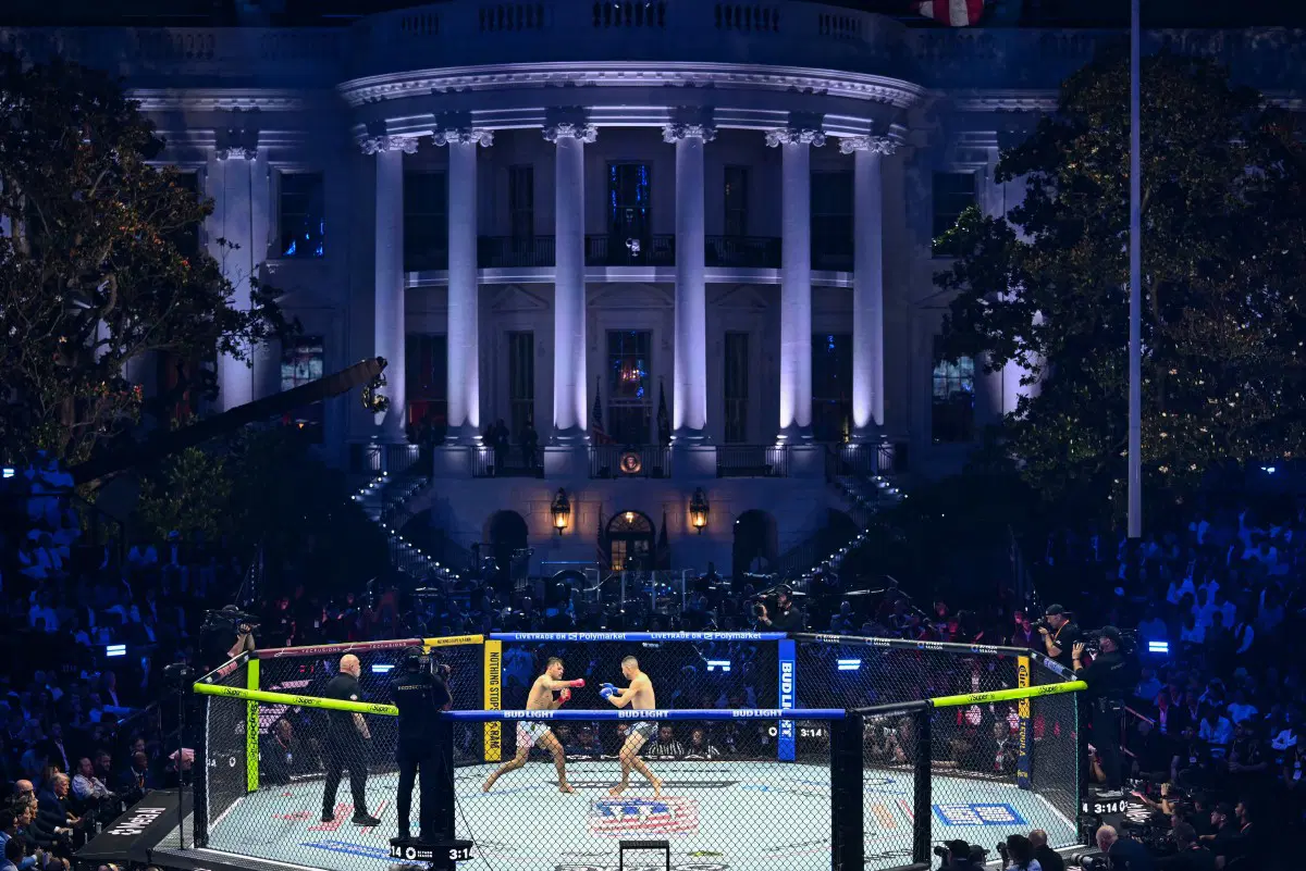 ufc 2