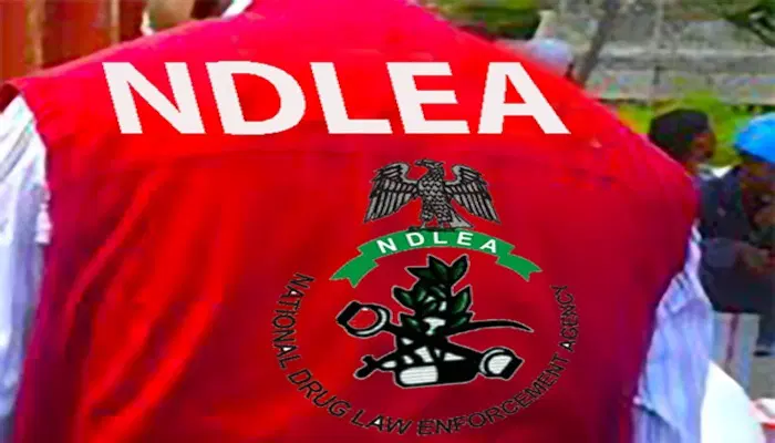 NDLEA To Nigerians Battling Addiction: Seek Help, Recovery Is Possible