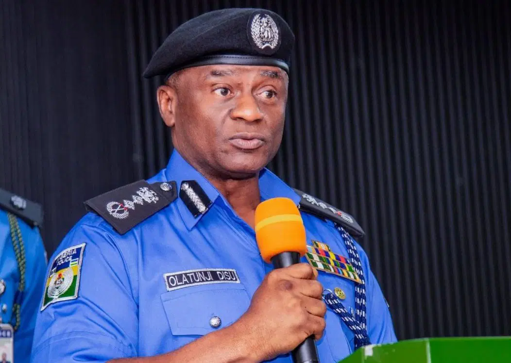Don't Blame Police for State Police Delay, IGP Tells Nigerians