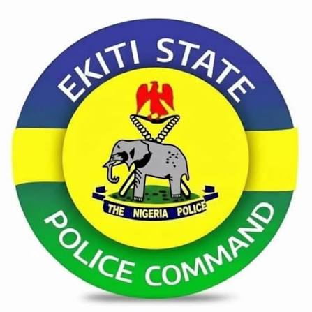 Ekiti Police Arrest Armed Robbery Suspect, Recover Stolen Motorcycles, Firearm After Forest Gun Battle