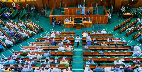 Crude Oil Theft: Reps Seek Harsher Punishment, Special Courts for Offenders