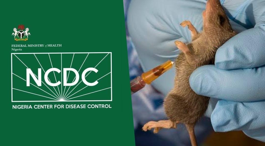Lassa Fever Death Toll Climbs to 221 as Fatality Rate Surpasses 2025 Level — NCDC