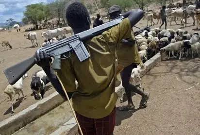 Suspected Armed Herdsmen Launch Fresh Attack on Benue Community