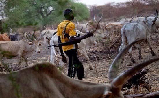 Benue Bleeds Again: Suspected Herders Kill Resident In Fresh Otukpo Attack