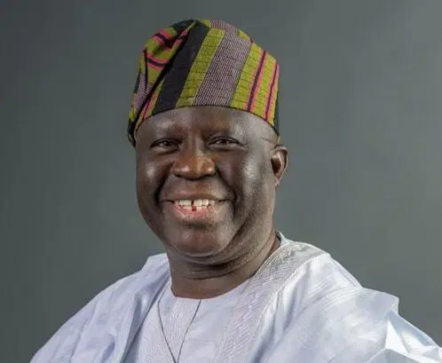 Senate Confirms Fasina as Non-Career Ambassador Despite Protests