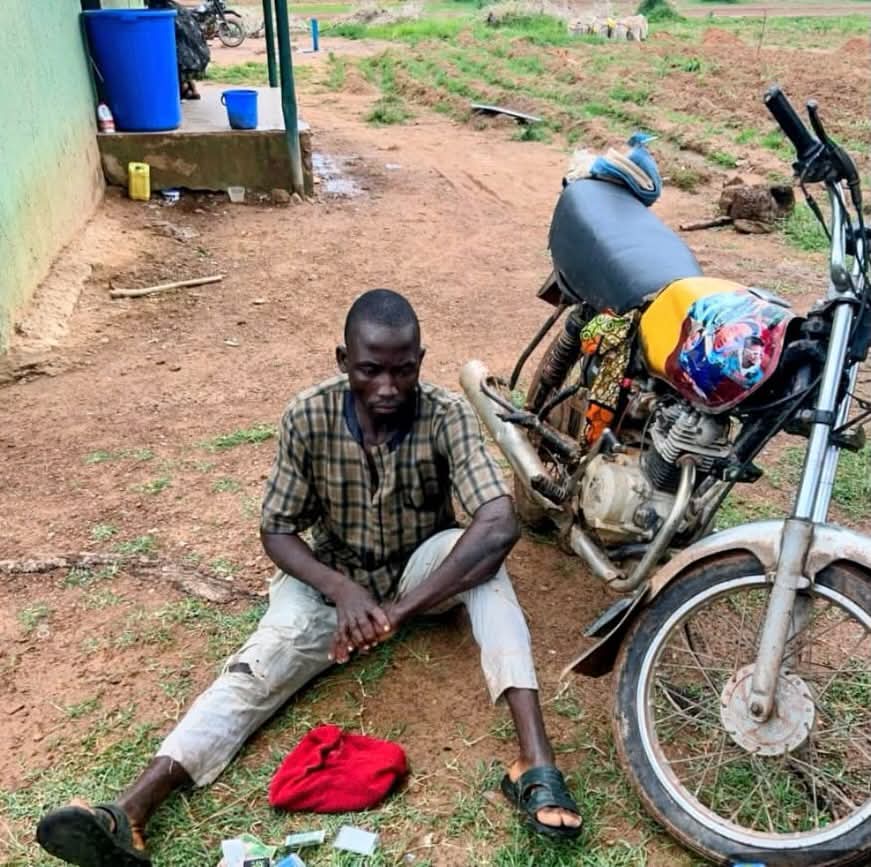 Troops Foil Bandit Attack, Recover 147 Rustled Livestock in Kano Border Operation