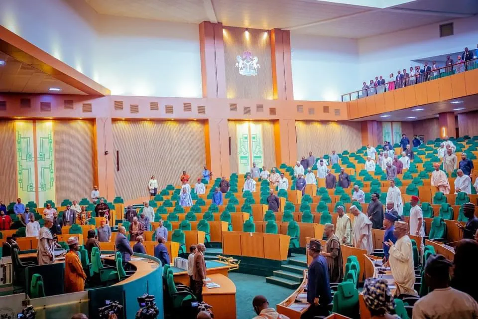 South Africa Xenophobia: Reps Probe Deaths, Business Losses, Seek Redress for Nigerians