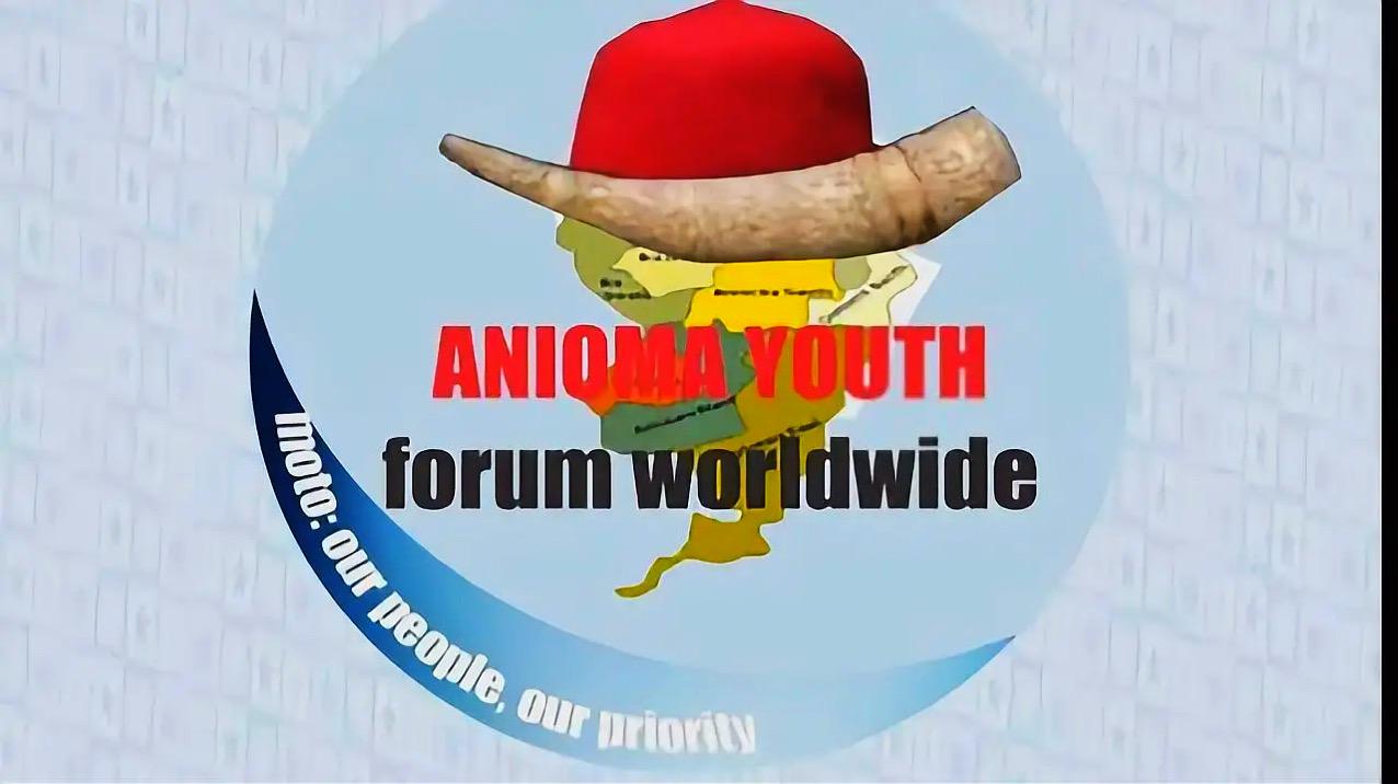 Anioma Youth Forum Petitions Senate, Demands Probe of Alleged Fraud in NDDC Youth Internship Programme