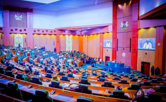 Reps Seek National Policy to Boost Nigeria’s Indigenous Drone Manufacturing