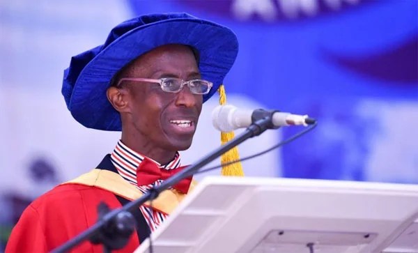 Prof. Olamakinde Olapegba Appointed University of Ibadan’s 14th Vice-Chancellor