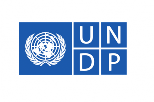 UNDP, GEF-SGP Launch Digital Directory to Connect Nigerian Businesses to Global Markets